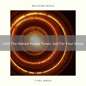 Until The Nature Makes Tunes Just For Your Sleep - Womb Sounds Sleepy Time