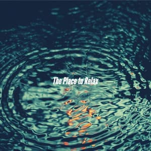 The Place to Relax - Restaurant Music Deluxe