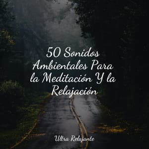 50 Sonidos Ambientales Para la Meditación Y la Relajación - Masaje Tantrico Musica Colección