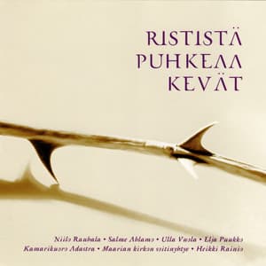 Rististä puhkeaa kevät - Heikki Rainio