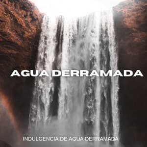 Indulgencia De Agua Derramada - Aguas Pura