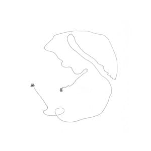 SPIRIT SPIRIT - Torben Snekkestad