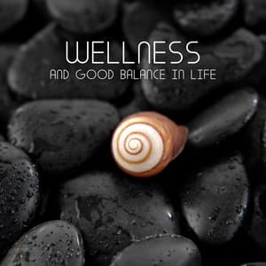 Wellness and Good Balance in Life: Relaxation Station, Relax Spa Ambience - Wellness Spa Oasis