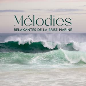 Mélodies relaxantes de la brise marine : Musique de guérison par le son et le toucher - Musique Thérapeutique Naturelles