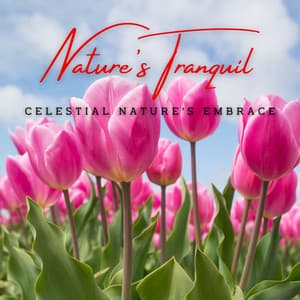 Nature's Tranquil Whispers: Meditative Melodies for Serenity - Christian Instrumental Music