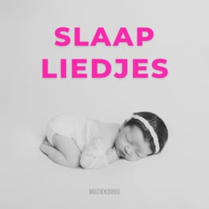Slaapliedjes - Muziekdoos - Benjamin Bonum Nocte