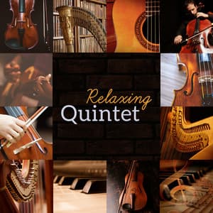 Relaxing Quintet - Emotional Harmony Zone