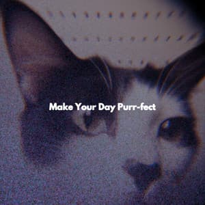 Make Your Day Purr-fect - Calm Relaxing Piano Music