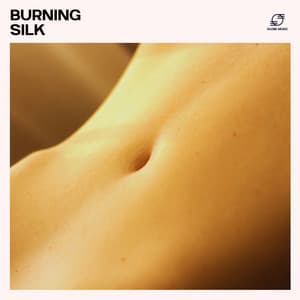 Burning Silk - Ibiza Erotic Music Café