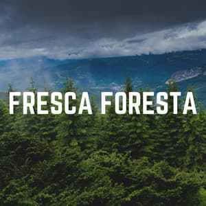 Fresca Foresta - Zona pura di suoni naturali