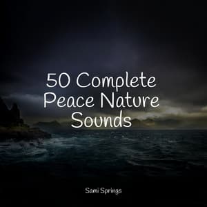 50 Complete Peace Nature Sounds - White Noise For Baby Sleep