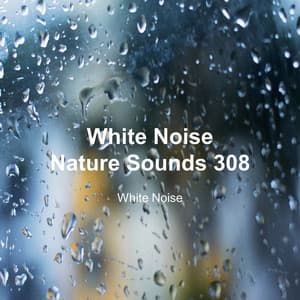 White Noise 308 - White Noise