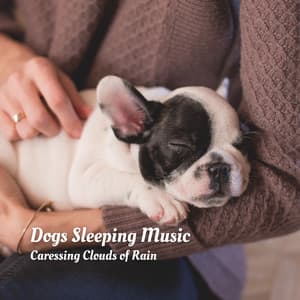Dogs Sleeping Music: Caressing Clouds of Rain - Music for Calming Dogs