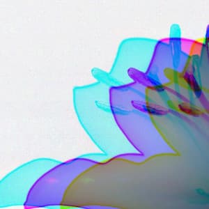 Opulent Music for Still Steps - Jazz-hop - Lo-Fi