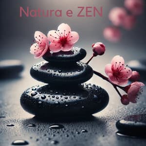Natura e ZEN - Musica Relax Academia