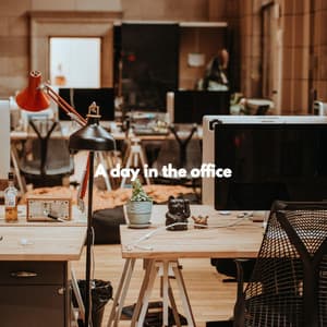 A day in the office - Tranquilo Trabajar desde Casa