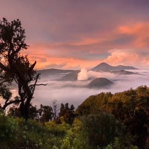 Mountain Serenity: Nature's Majestic Melodic Peaks - Soothing Music