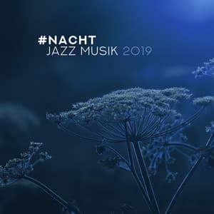 #nacht jazz musik 2019 – Entspannender Sanfter Instrumental-Jazz, Sanft Beruhigende Lieder, Erholung & Schlaf - Music for Quiet Moments