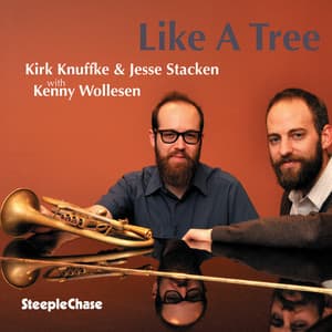 Like A Tree - Jesse Stacken