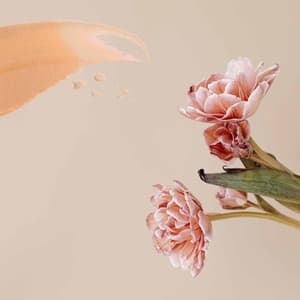 Ambiance for Coffee Study Zones - Lounge Bar New York