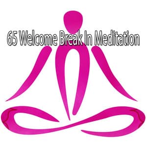 65 Welcome Break In Meditation - Asian Zen Spa Music Meditation