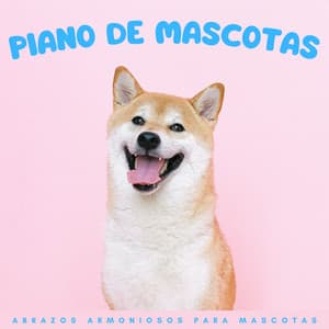 Piano De Mascotas: Abrazos Armoniosos Para Mascotas - Animales de piano