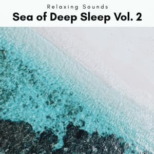 Sea of Deep Sleep Vol. 2 - 101 Relax