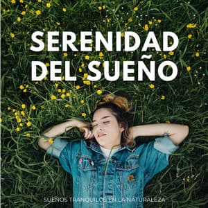Serenidad Del Sueño: Sueños Tranquilos En La Naturaleza - Naturaleza Sueño