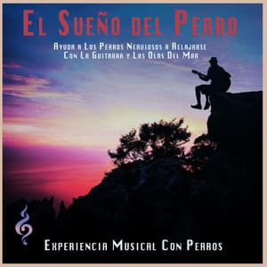 El Sueño del Perro: Ayuda a Los Perros Nerviosos a Relajarse Con La Guitarra y Las Olas Del Mar - Experiencia Musical Con Perros