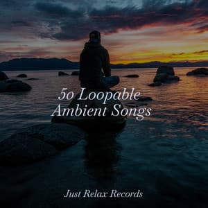 50 Loopable Ambient Songs - Instrumental