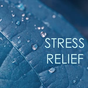 Stress Relief - The Best Relaxation Music Collection - Best Relaxation Music