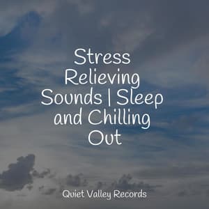 Stress Relieving Sounds | Sleep and Chilling Out - Yoga Para Ninos