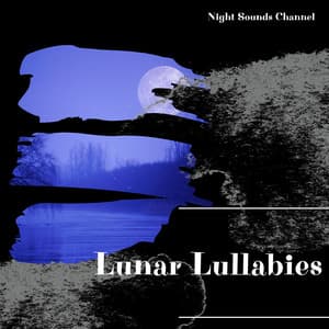 Lunar Lullabies: Calming Night in the Nature - Night Sounds Channel