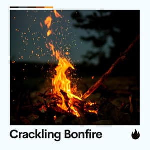 Crackling Bonfire - Fireplace FX Studio