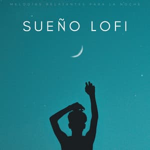 Sueño Lofi: Melodías Relajantes Para La Noche - Ritmos soñolientos de Lofi