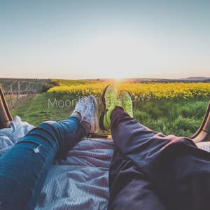 Moonlit in Shadows - Cosmic Thought