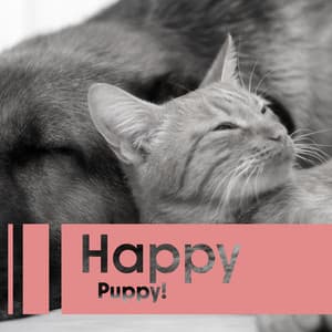 Happy Puppy! Joyous Jazz For Your Best Non-Human Friends - Jamie Jazz