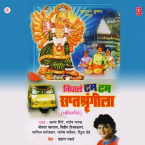 Nighala Tam Tam Saptashrangila - Anand Shinde