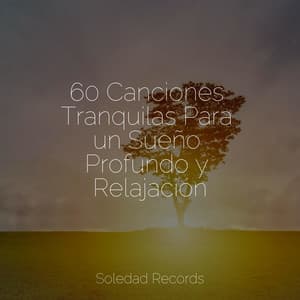 60 Canciones Tranquilas Para un Sueño Profundo y Relajación - Música Para Dormir Inspirada En El Espacio