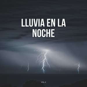 Lluvia En La Noche Vol. 2 - Lluvia Olivia