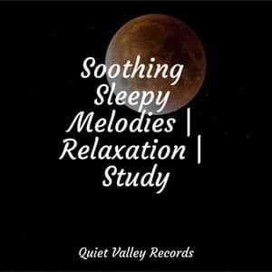 Soothing Sleepy Melodies | Relaxation | Study - Bath Spa Relaxing Music Zone
