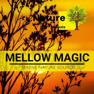 Mellow Magic - Serene Nature Sounds - Meditation Atmospheres