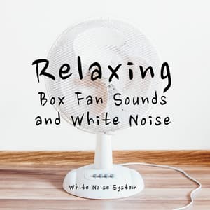Relaxing Box Fan Sounds and White Noise - White Noise System
