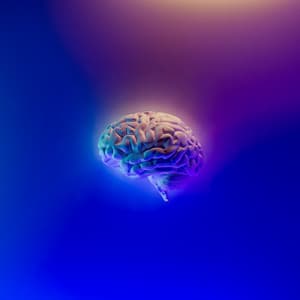 01 Noise Machine: Alpha Brainwaves - White Noise Therapy