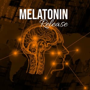 Slereo Sleep Tones - Melatonin Release