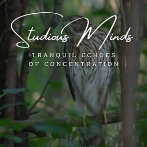 Harmonic Intellect: Meditative Piano for Studious Minds - Piano Project