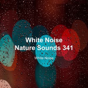 White Noise 341 - White Noise