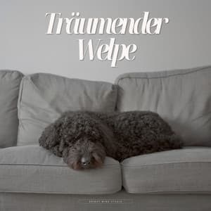 Träumender Welpe - Beruhigende Musik für Hunde
