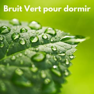 Bruit vert pour dormir - Bruit Brun