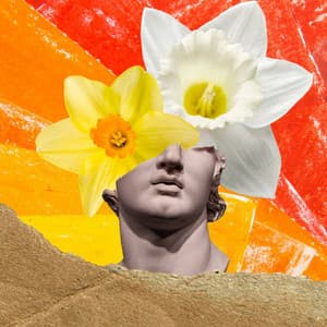 Paradise Like Music for Sleepy Winter Nights - Latin Music - Coffee House Jazz